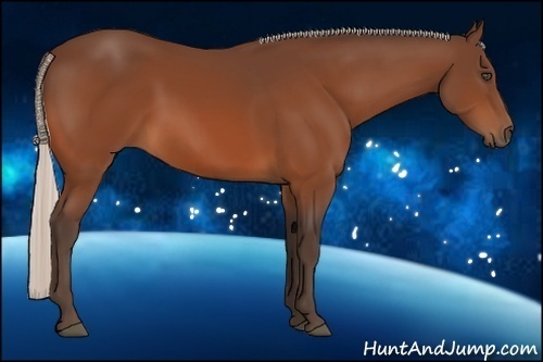 Horse Color:Silver Bay 