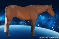 Horse Color:Silver Bay