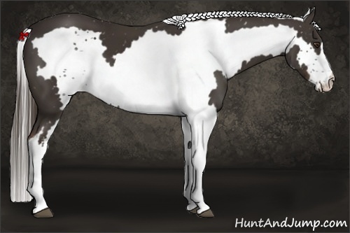 Horse Color:White Spotted Liver Chestnut Frame