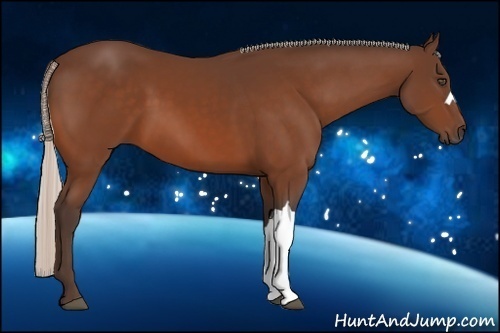 Horse Color:Silver Bay 