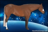 Horse Color:Silver Bay 