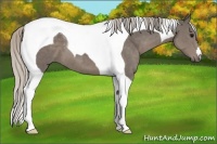 Horse Color:Silver Black Tobiano 