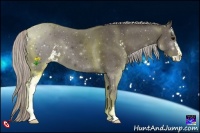 Horse Color:Silver Black Sabino 