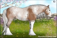 Horse Color:White Spotted Silver Bay Sabino Splash