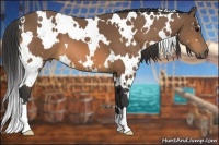 Horse Color:White Spotted Buckskin 