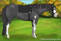 Horse Color:Smoky Blue Roan Sabino