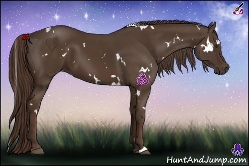 Horse Color:White Spotted Liver Chestnut 