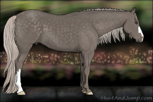 Horse Color:Silver Black 