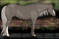 Horse Color:Silver Black 