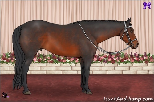 Horse Color:Brown Rabicano 