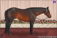 Horse Color:Brown Rabicano 