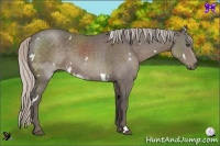 Horse Color:White Spotted Silver Black Sabino