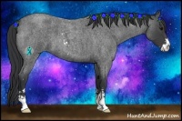 Horse Color:Blue Roan Sabino 