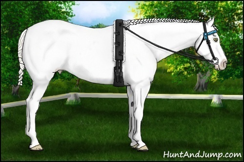 Horse Color:Silver Amber Champagne Dun Appaloosa 