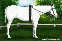 Horse Color:Silver Amber Champagne Dun Appaloosa 