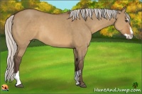 Horse Color:Silver Brown Dun Splash Frame Rabicano