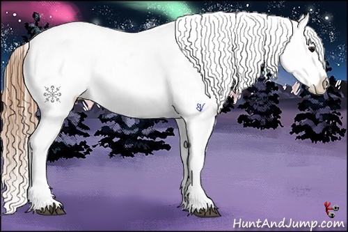 Horse Color:Buckskin Roan Appaloosa 