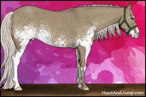 Horse Color:White Spotted Silver Smoky Grullo Frame 