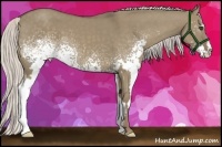 Horse Color:White Spotted Silver Smoky Grullo Frame