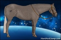 Horse Color:Silver Black 
