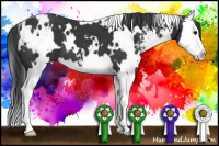 Horse Color:White Spotted Black Sabino Splash