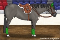 Horse Color:Grullo