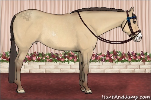 Horse Color:Amber Champagne Dun Sabino Frame Rabicano 