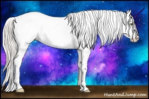 Horse Color:Silver Classic Champagne Dun Splash Appaloosa 