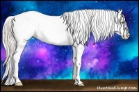 Horse Color:Silver Classic Champagne Dun Splash Appaloosa