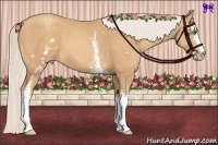 Horse Color:White Spotted Silver Amber Champagne