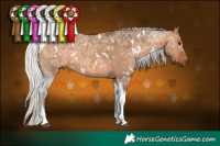 Horse Color:White Spotted Silver Brown Ice Dun Tobiano 