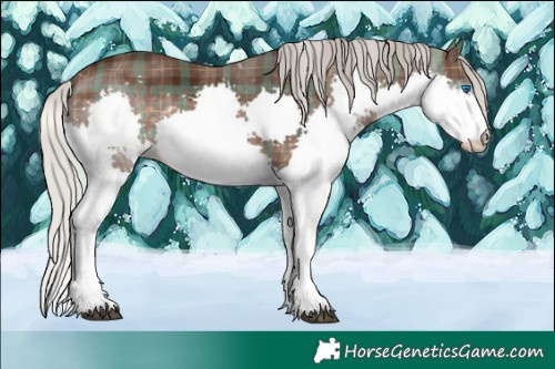 Horse Color:Plaid Silver Brown Splash Tobiano