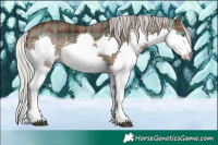 Horse Color:Plaid  Silver Brown Splash Tobiano 