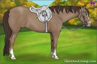 Horse Color:White Spotted Classic Champagne 