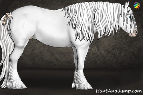 Horse Color:Cremello Near Leopard 