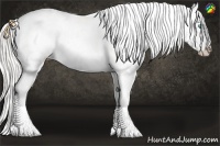 Horse Color:Cremello Near Leopard