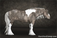 Horse Color:Chocolate Palomino Ice Pearl Tobiano
