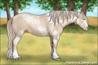 Horse Color:Chocolate Palomino Ice Pearl Sabino Splash 