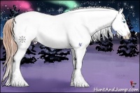 Horse Color:Buckskin Roan Pearl Splash Appaloosa 