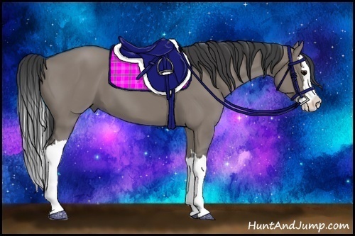 Horse Color:Grullo Splash 