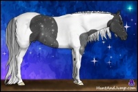 Horse Color:Smoky Black Tobiano 