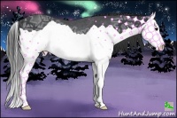 Horse Color:Black Ice Splash Rabicano