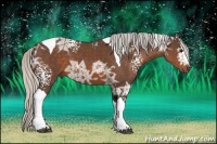 Horse Color:White Spotted Silver Brown Ice Tobiano 