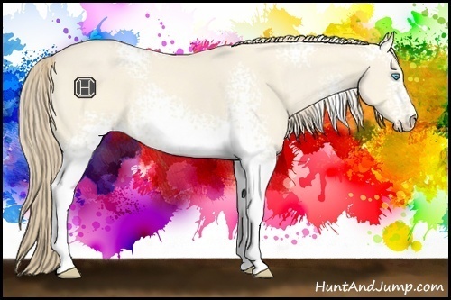 Horse Color:White Spotted Perlino Dun Sabino 