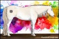 Horse Color:White Spotted Perlino Dun Sabino 