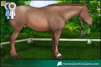 Horse Color:Brown Pearl 