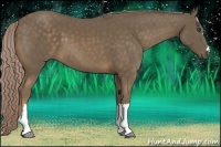 Horse Color:Chocolate Palomino 