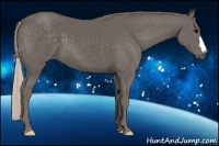 Horse Color:Silver Black 