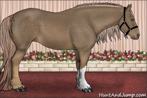 Horse Color:Chocolate Palomino