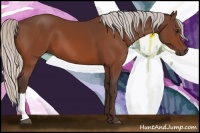 Horse Color:Silver Bay 